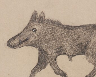 Wild Boar Drawing Etsy