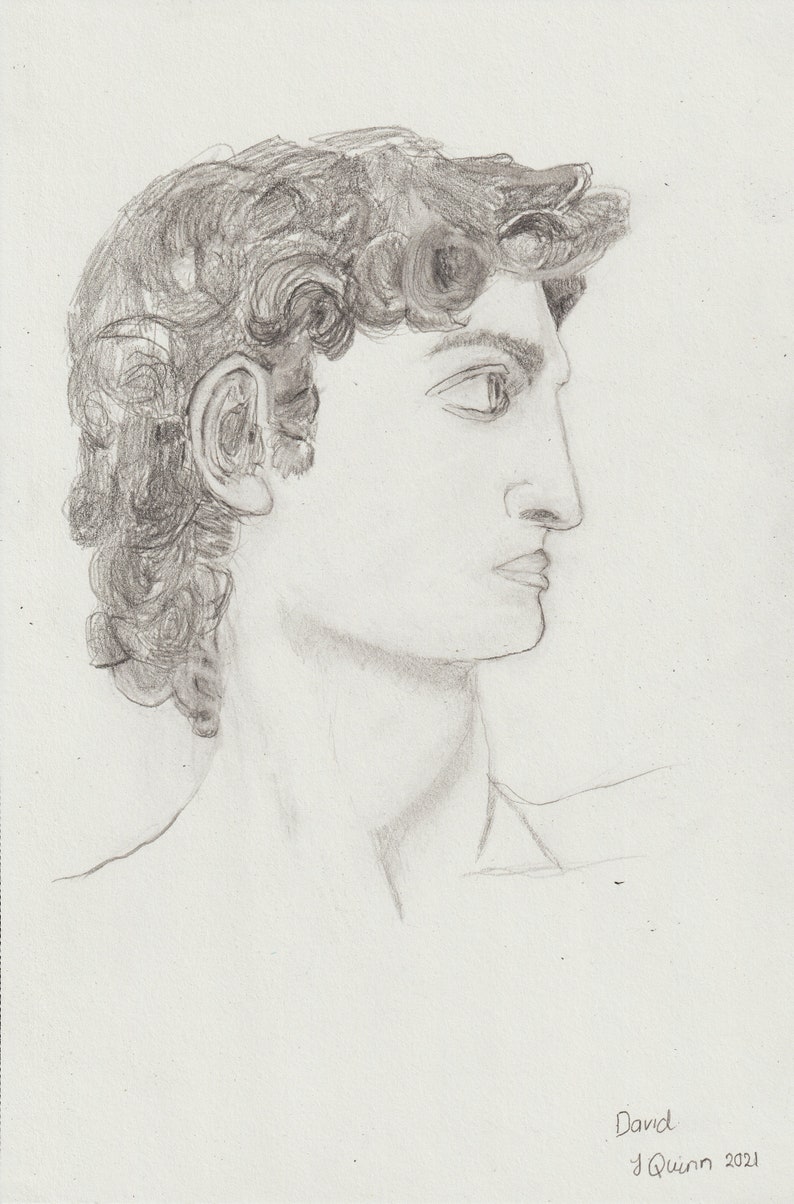 David#39;s head statue by Michelangelo handdrawn