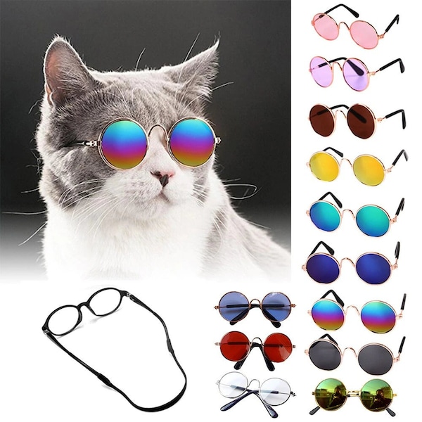Glasses for Cats Etsy