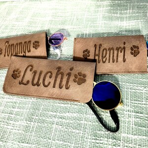 Cat Sunglasses & Dog Sunglasses Personalized Case 2 Sizes Cat or Dog Clothing image 2