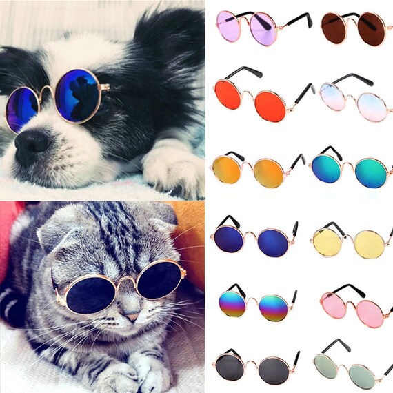 Pet Sunglasses for Cats & Dogs 2 Sizes Cat or Dog Etsy