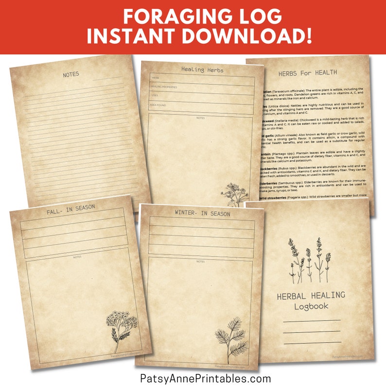 Foraging Log, Mushroom Hunting, Herbal Healing, Herb Hunting, Nature ...