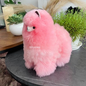 alpaca plush pink