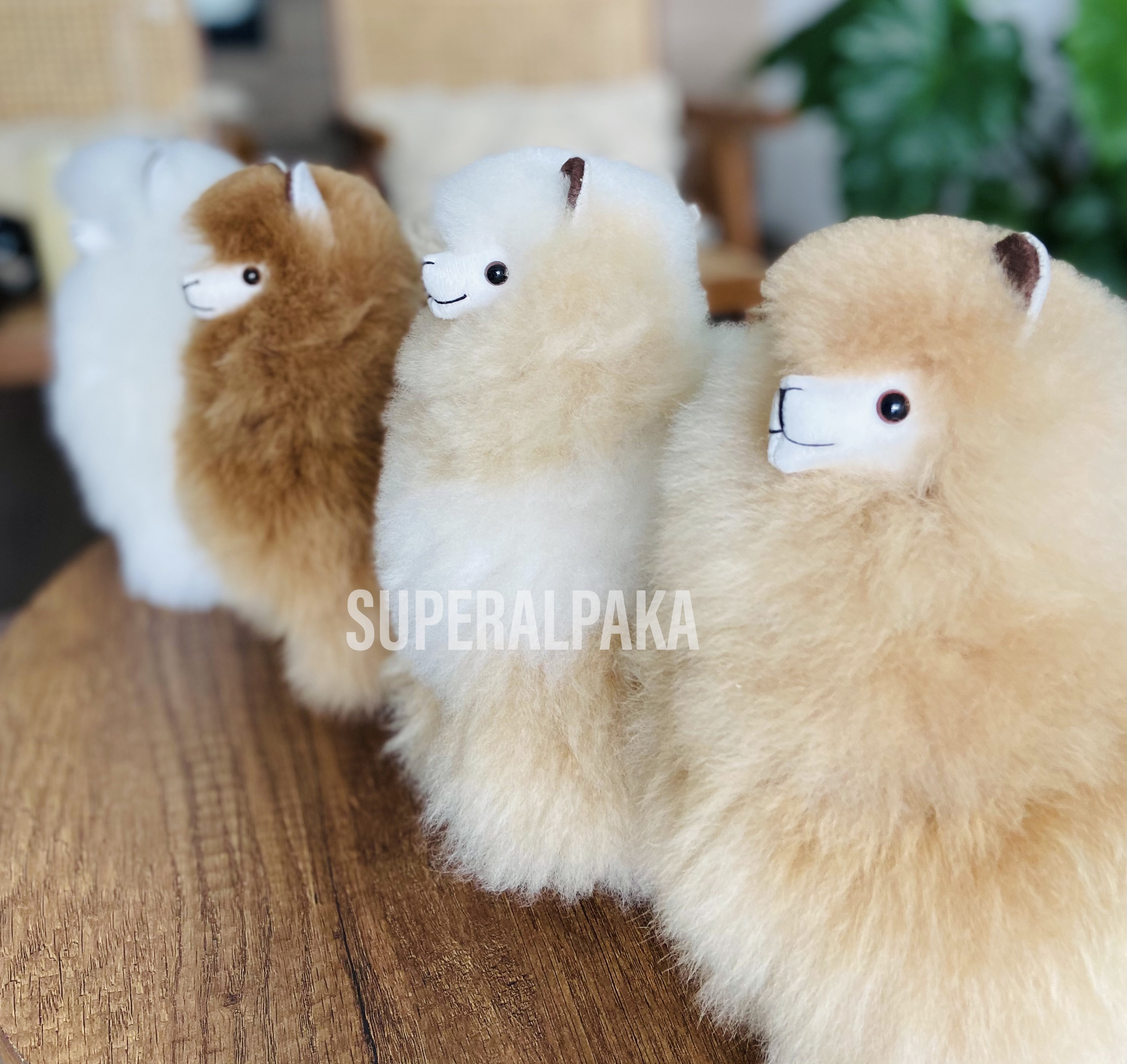 Buy Mini Alpaca Fur Collectable Online - Welcome to Alpaca Teddy