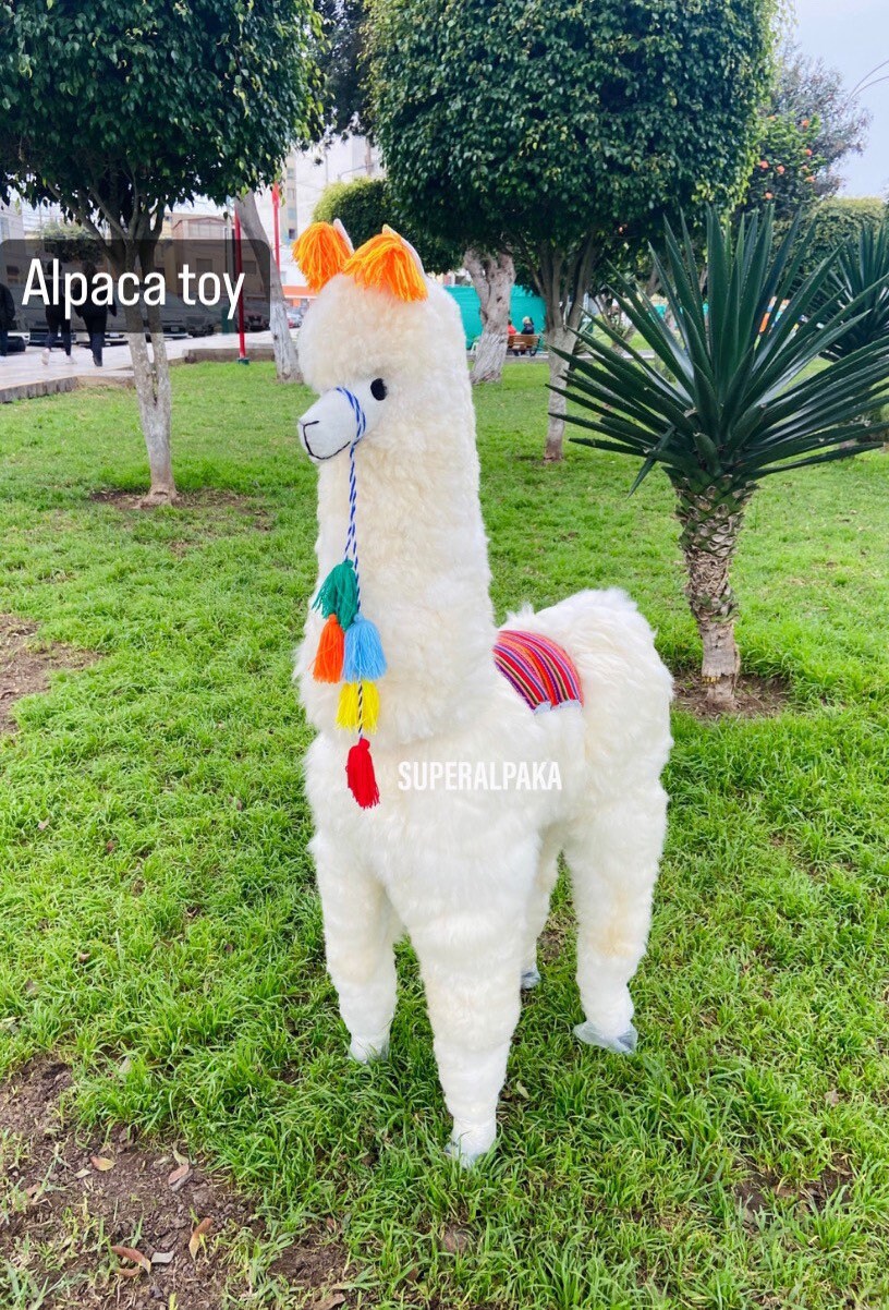 big alpaca teddy