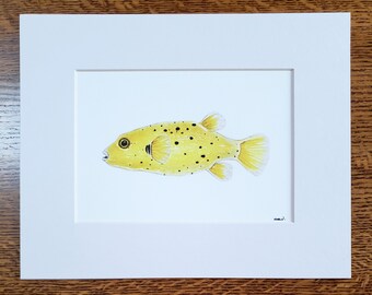 Golden Pufferfish matted fine art PRINT reef aquatic art gift for him/her love family mom birthday holiday friends wall art home decor