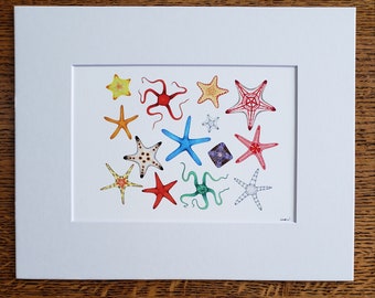 Group of Starfish matted fine art PRINT aquatic art gift for him/her love family mom birthday holiday friends wall art home decor