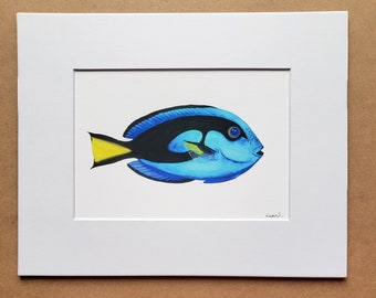 Blue Hippo Tang Paracanthurus hepatus matted fine art PRINT reef art gift for him/her love holiday halloween friends wall art home decor