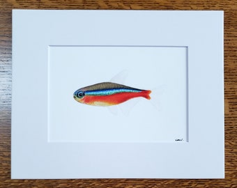 Cardinal Tetra matted fine art PRINT freshwater aquatic art gift for him/her love family mom birthday holiday friends wall art home decor