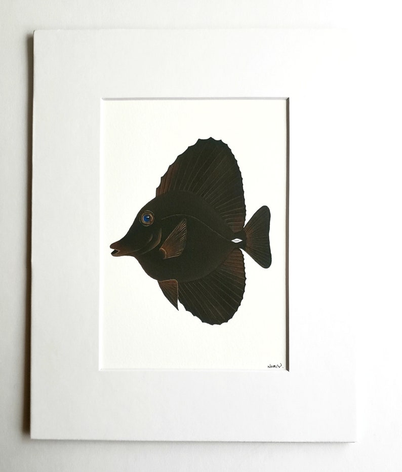 Schwarze Tang verfilzt Fine Art PRINT, Zebrasoma Rostratum, Meer Leben, Riff Fisch Kunst, Wand-Dekor. Bild 1