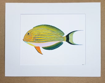 Clown Tang Acanthurus lineatus matted art PRINT reef art gift for him/her love anniversary holiday halloween friends wall art home decor