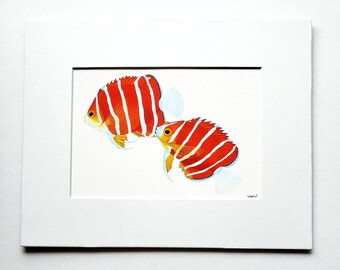 Peppermint Angelfish Matted fine art print, sea life, reef fish home decor, birthday, wall art,gift for him/her,anniversary,family,love