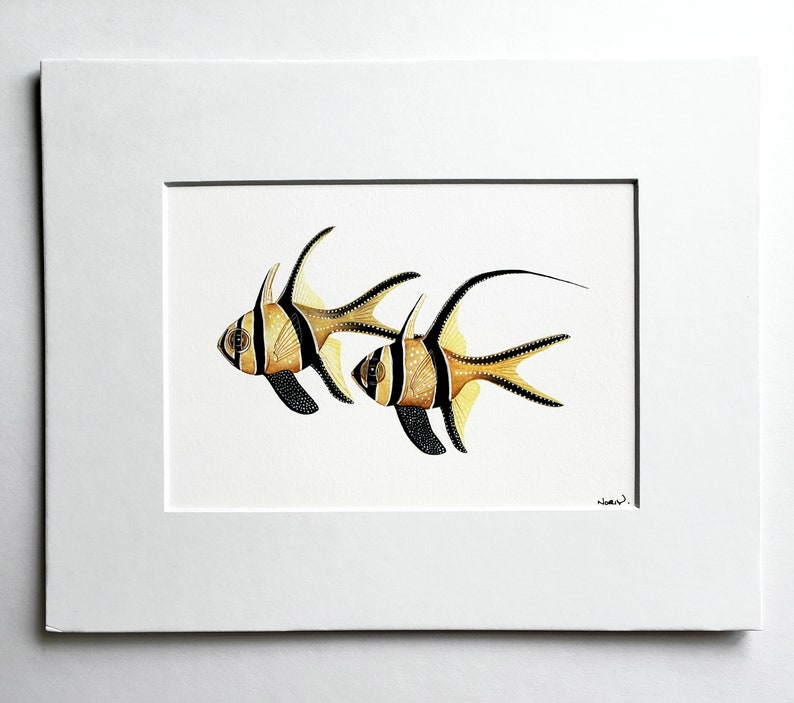 Banggai Cardinalfish matted fine art PRINT, Pterapogon kauderni, wall art, sea life, reef fish. image 1