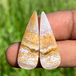 OCEAN JASPER Paires | Meilleure qualité | Parfait pour un cadeau | D'Indonésie