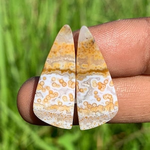 OCEAN JASPER Paires pour Boucles d'Oreilles