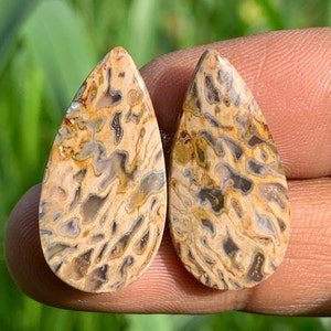 PAAR PALM WURZEL Cabochon Leopard Muster