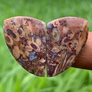 STROMATOLITE Paires Cabochon | Boucles d'oreilles | Agate mousse | Parfait pour cadeau