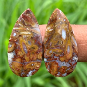 STROMATOLITE Paires Cabochon | Boucles d'oreilles | Agate mousse | Parfait pour cadeau