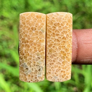 Yellow JADE CORAL pairs | Best quality | Perfect for gift | From Indonesia