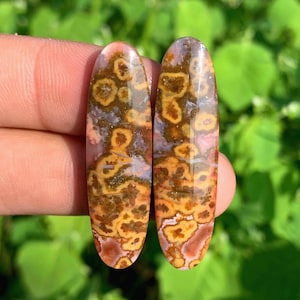 RIVER JASPER Pairs cabochon | beautifull | naturals stone from Indonesia
