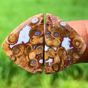 STROMATOLITE Paires Cabochon | Boucles d'oreilles | Agate mousse | Parfait pour cadeau