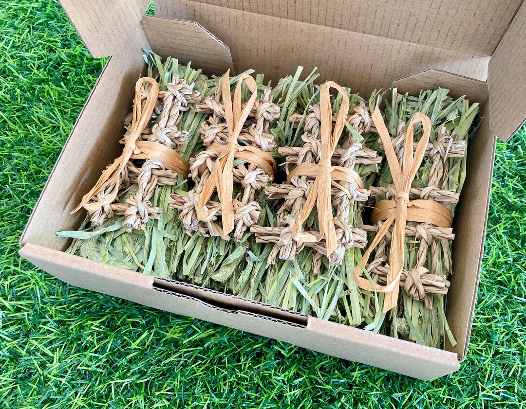 Curated visual reference: Seagrass And Hay Snack Pack Rabbit Toys Guinea Pig Toys Photo Inspiration
