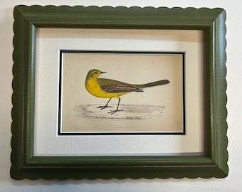 Scallop framed original antique bird engravings by morris 19th century