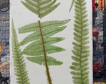 Rare antique Henry Bradbury Nature printed botanical