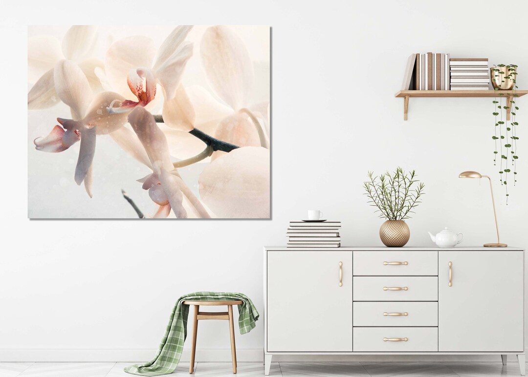 White Orchid Canvas Wall Art, Canvas Print Home Deco, Framed Print