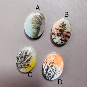 May include: Four oval-shaped agate slices with different tree silhouettes and color patterns. The slices are labeled A, B, C, and D.