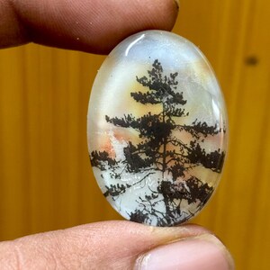 May include: An oval-shaped dendritic agate gemstone with a smooth, polished surface. The translucent white stone features natural, dark brown, tree-like inclusions that resemble a pine tree silhouette against a pale, cloudy background.