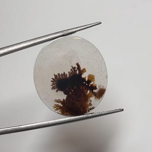 May include: A round, translucent cabochon gemstone featuring dark brown, tree-like dendritic inclusions that resemble moss or fern patterns suspended within the clear, polished stone, held by a pair of silver-toned metal tweezers.