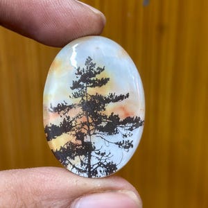 Ovale opaal cabochon: 77 karaat edelsteen (daballet: 34 x 24 x 10 mm)