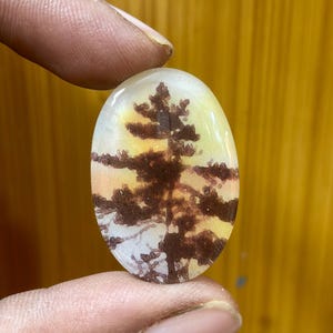 Puede incluir: Una piedra preciosa de ágata dendrítica de forma ovalada con una base blanca lechosa translúcida e inclusiones naturales de color marrón oscuro que forman la silueta de un pino sobre un fondo suave de tonos amarillos y naranjas.