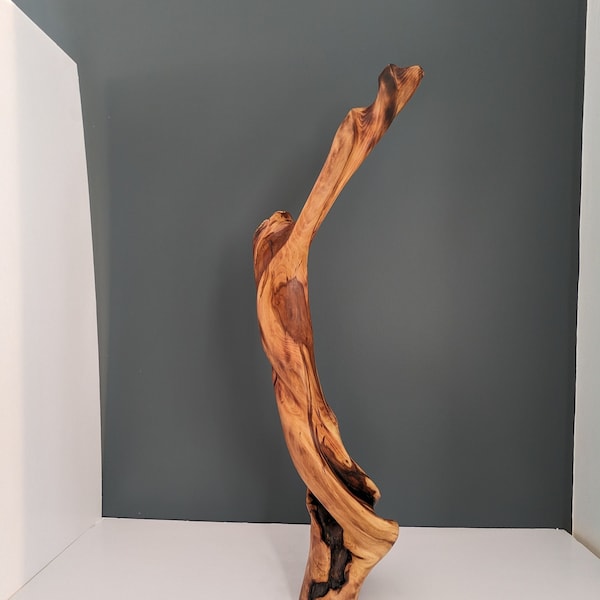 Travail du bois nature torsadée - Sculpture abstraite en bois de pommier massif sculptée à la main « Pomme tourbillonnante » - décoration maison de ferme rustique unique