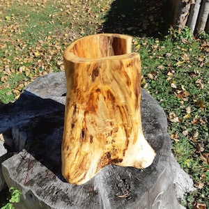 Twisted Nature Woodworking - Trembling Aspen Abstract Sculpture - Beeswax Finish - Wood Carving Art Home Decor Unique Gift Handmade Modern