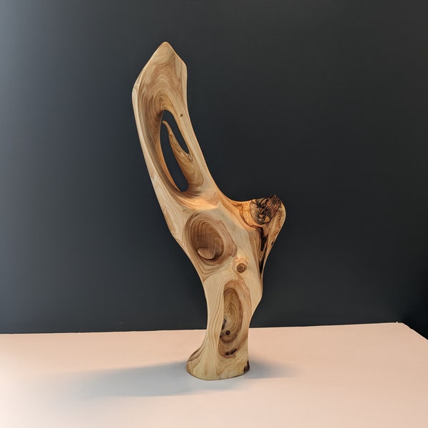 Travail du bois nature torsadée - sculpture abstraite en bois massif sculptée à la main « peuplier sinueux » - ferme rustique décoration d'intérieur unique