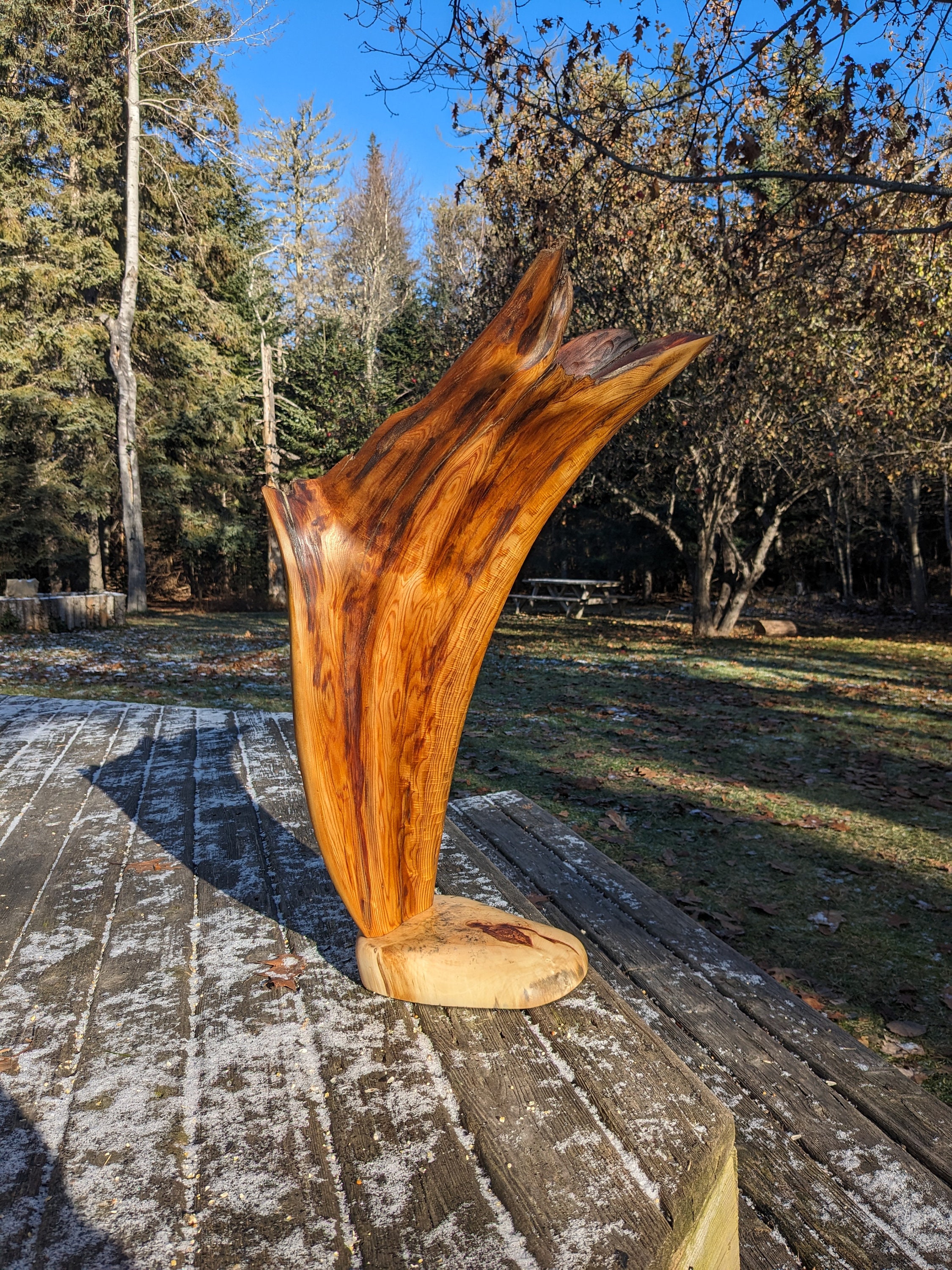 Eastern Red Cedar Logs Wood Blanks Crafts Live Edge Carving DIY 12 Logs  Lot 2