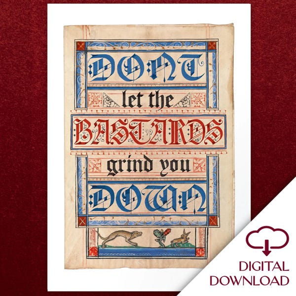 Don't Let the Bastards Grind You Down Handmaid's Tale quote inspired digital art download