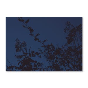 Postkarte Mitternachtsblau, A6