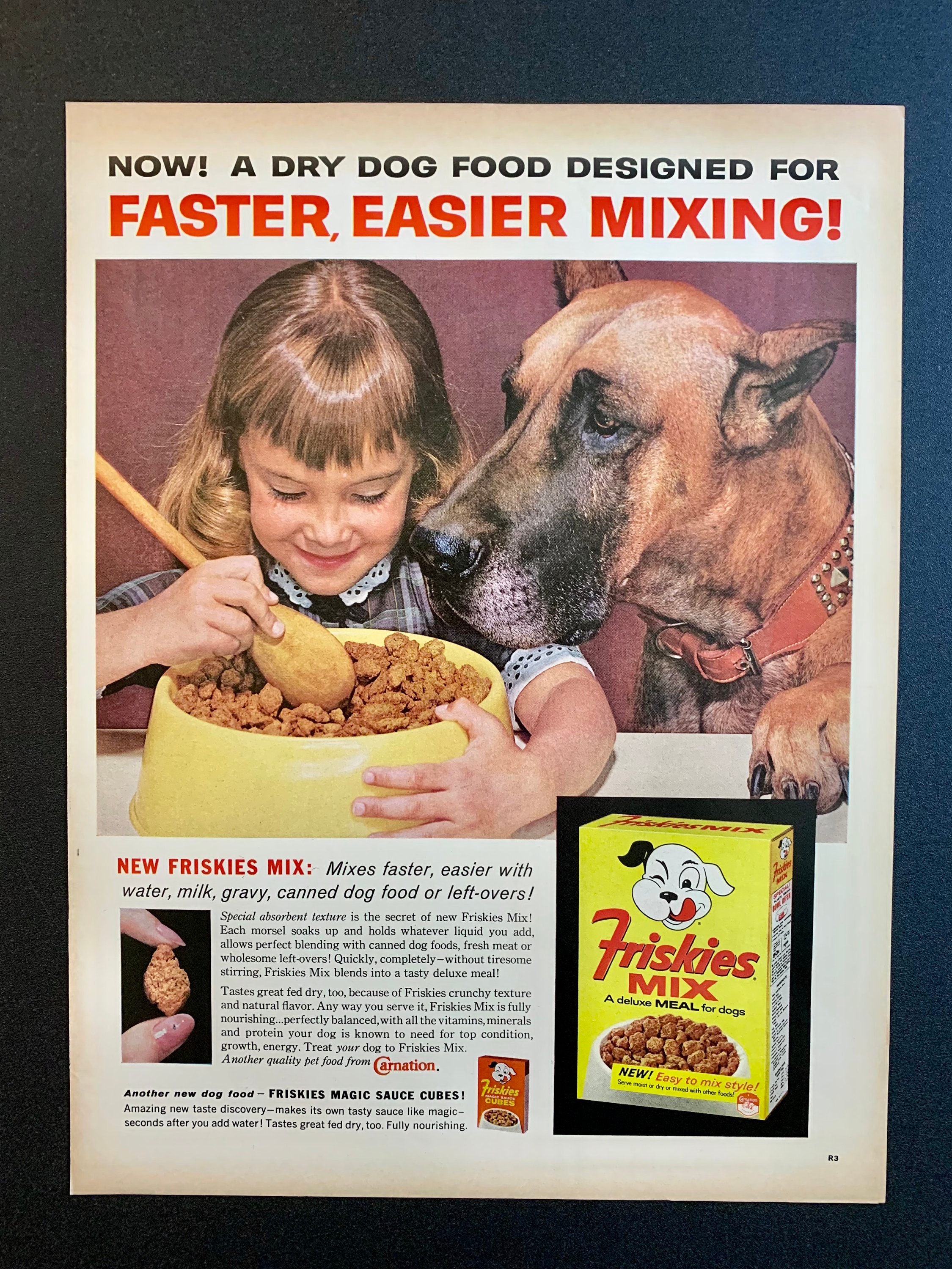 Should You Mix Water With Dog Food