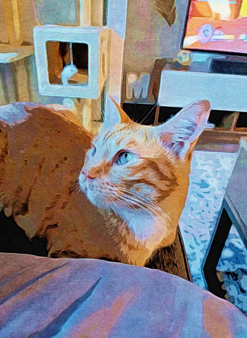 Custom Paint by Numbers Kit, Custom Pet Portrait, Custom Portrait