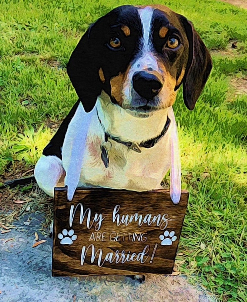 Custom Paint by Numbers Kit, Custom Pet Portrait, Custom Portrait