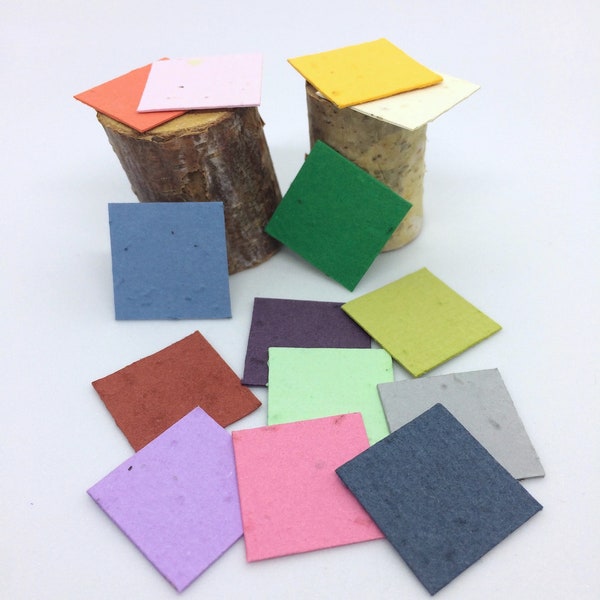 Seed Paper Squares