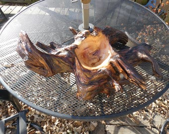 Large Primitive Driftwood Root Complex Wood Bowl