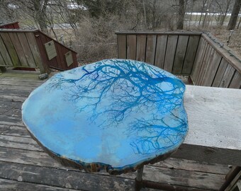 21" Elm Slab Blue Epoxy Resin Wall Hanging Or Table Top