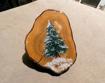 Lone Pine Im Winter Schnee Auf Einer Holzplatte