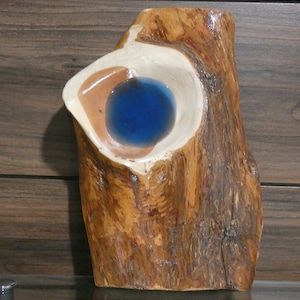 Blue Pool On A Red Cedar Log