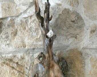 Gnarled Wood With Celestine Crystal Cluster