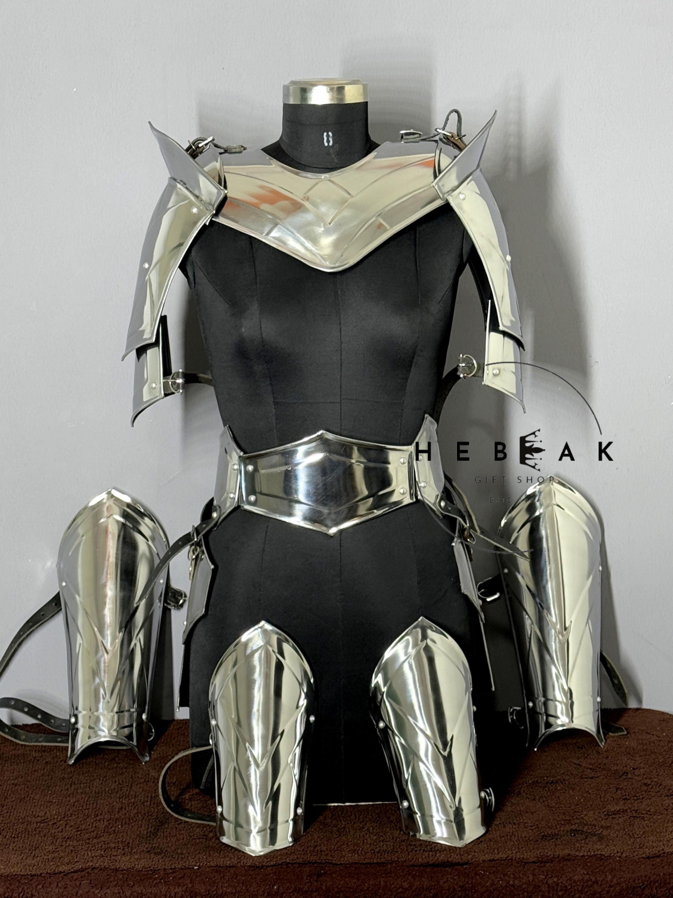 Medieval Princess Warrior Costume/Royal Lady Knight Suit/Custom Women’s Knight Armor/Fantasy Battle Suit for LARP/Cosplay/Gift For Her